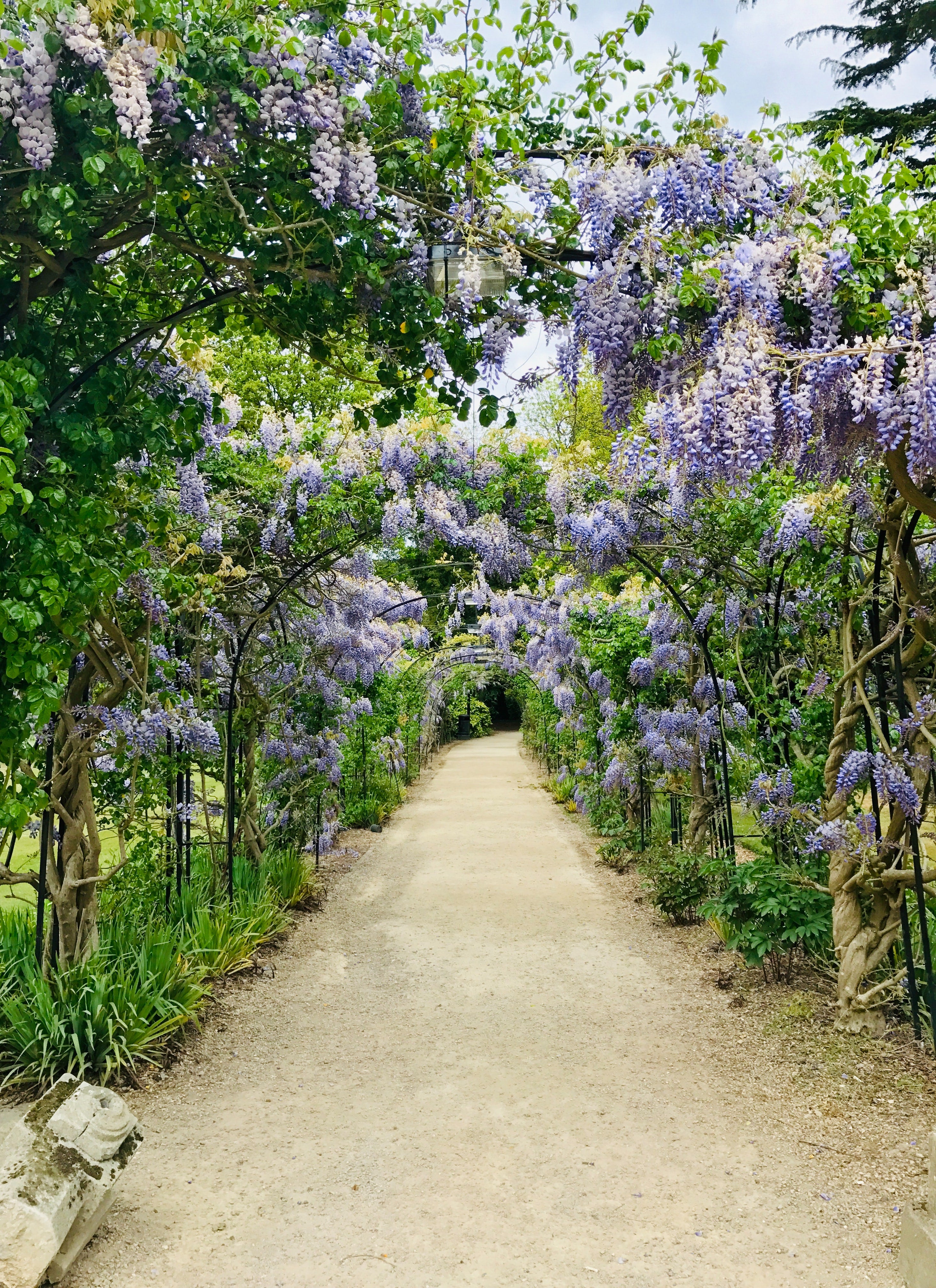 Cell Salts for Plants and Garden Part One