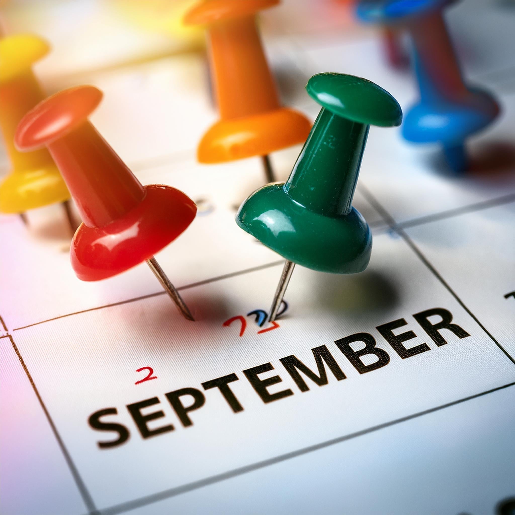 Cell Salt Dosing Guide: How to Take Tissue Cell Salts for Wellness and Acute Support