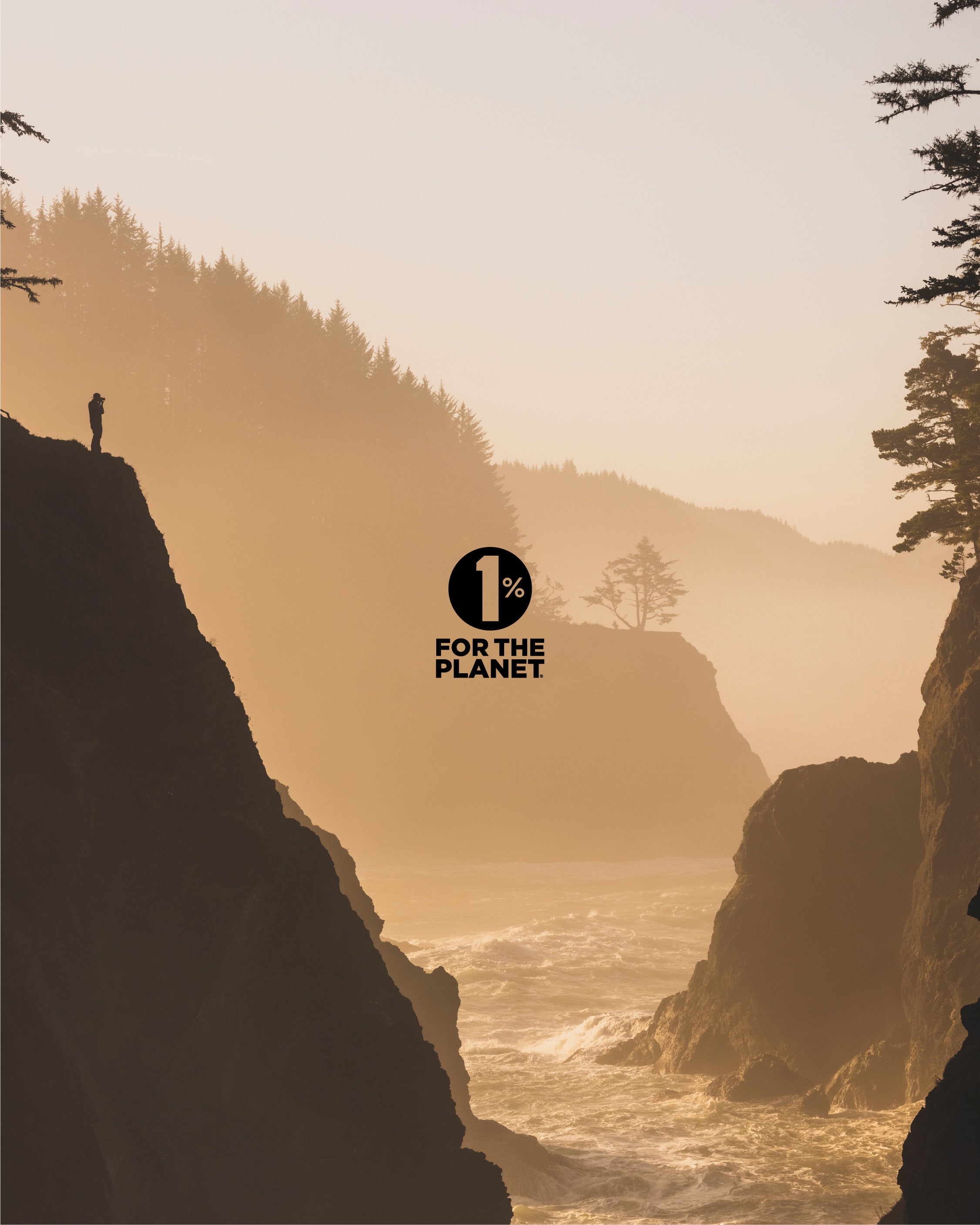 Jackson's 12 in 1 (500 pellets) - Certified Vegan, Lactose-Free All 12 Tissue Cell Salt Combination