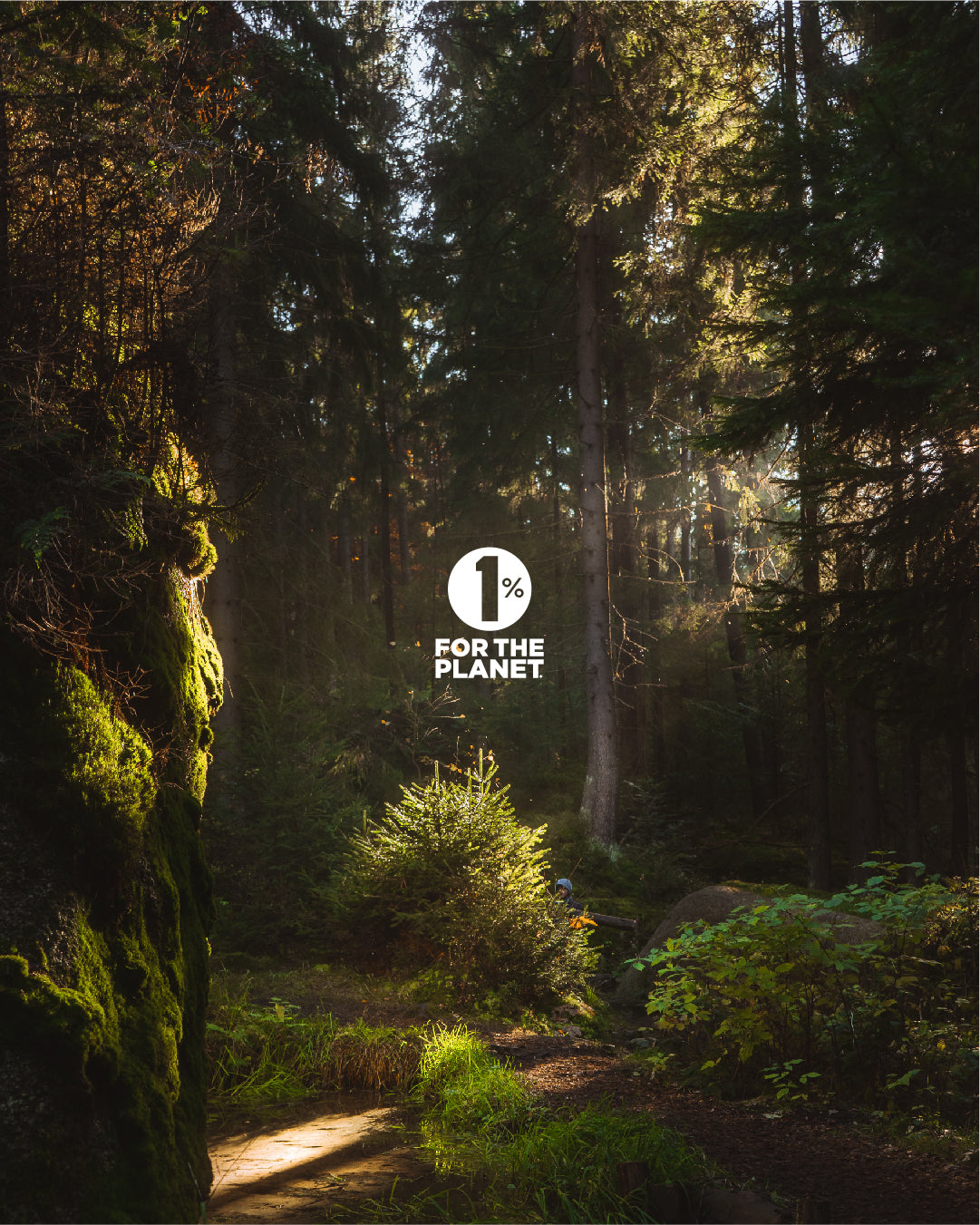 Jackson's 12 in 1 LARGE bottle (2000 pellets) - Certified Vegan, Lactose-Free All 12 Cell Salt Combination