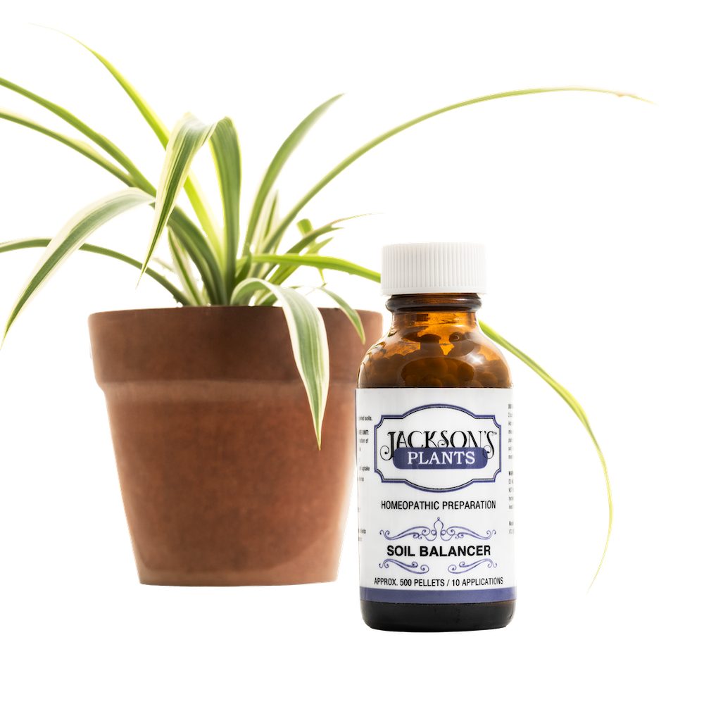 Jackson's Plant Soil Balancer - Cell salt combination to help balance depleted soils