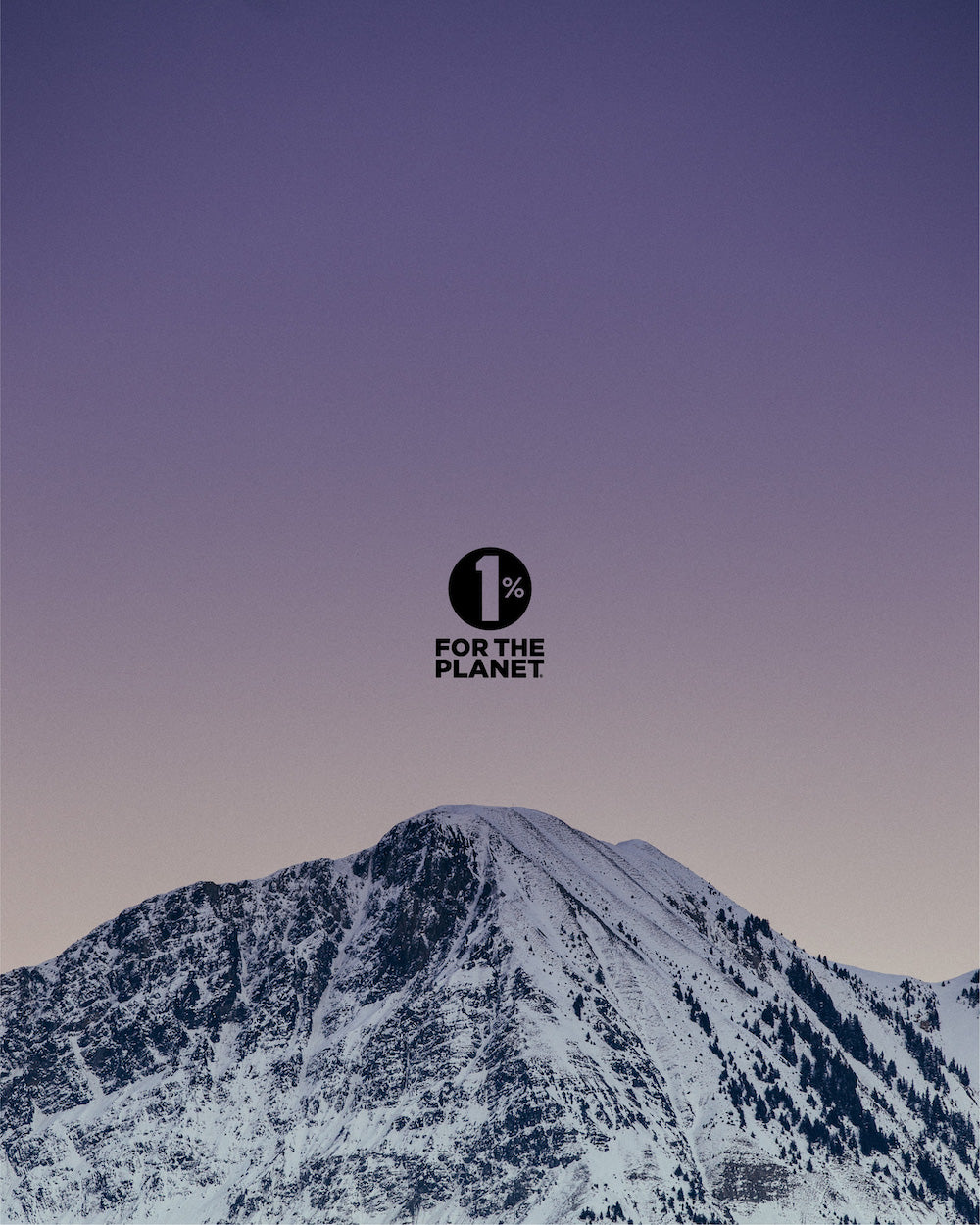 12 Cell Salt Kit - Certified Vegan, Lactose-Free Schuessler Cell Salts in 6X potency