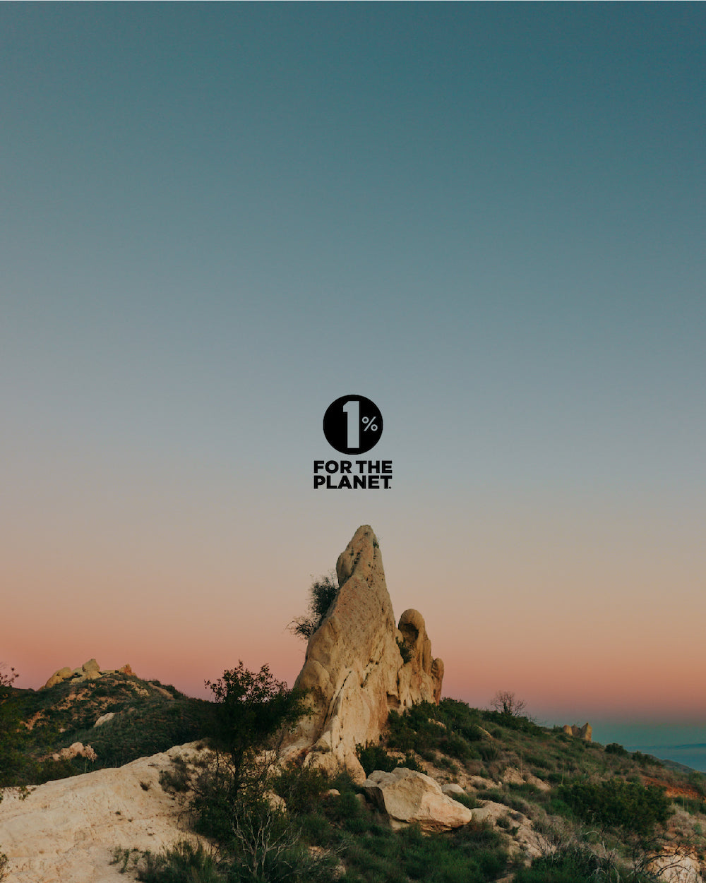 #10 Nat Phos 6X - Certified Vegan, Lactose-Free Schuessler Cell Salt (Sodium phosphate)