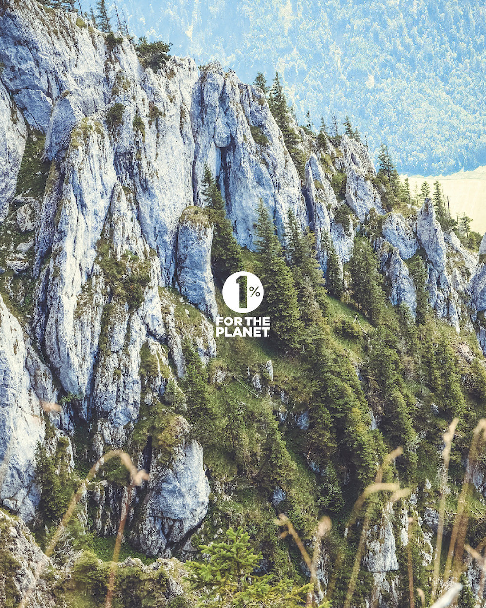 #8 Mag phos 6X - Certified Vegan, Lactose-Free Schuessler Cell Salt (Magnesium phosphate)