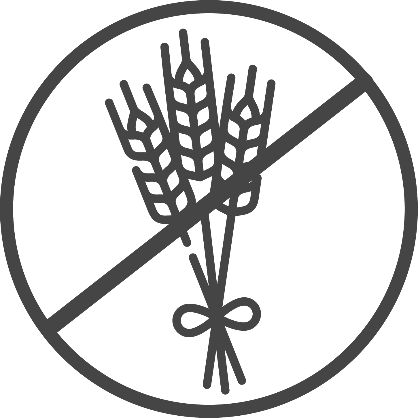 #8 Mag phos 6X (phosphate de magnésium) - Sel de cellules de Schuessler (tissus) certifié végétalien et sans lactose